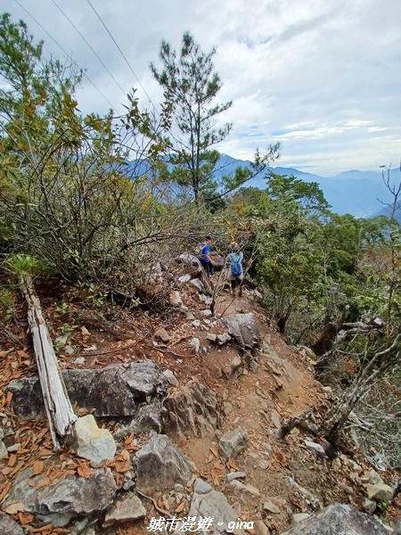 20221015_131001.jpg 20221015_131001.jpg