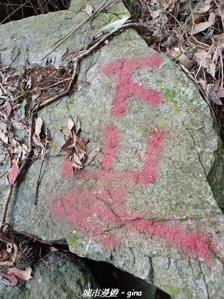 20221015_132210.jpg 20221015_132210.jpg