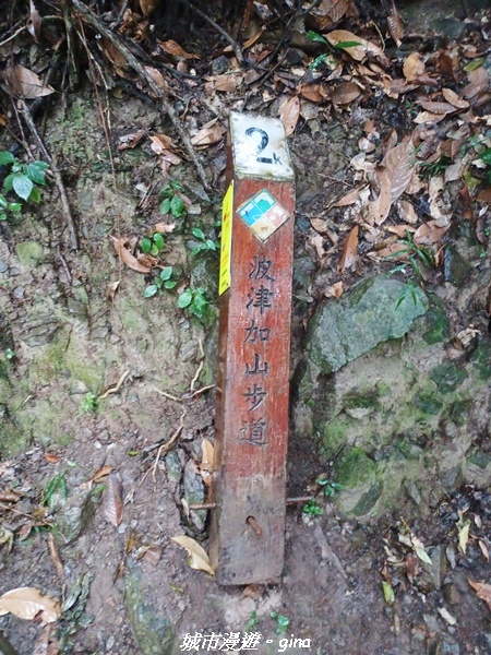 20221015_141138.jpg 20221015_141138.jpg