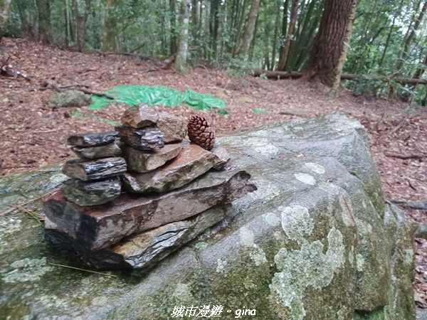 20221015_134529.jpg 20221015_134529.jpg