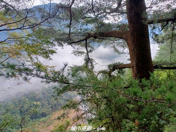 20221015_151241.jpg 20221015_151241.jpg