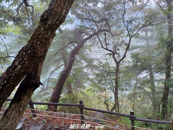 20221015_154413.jpg 20221015_154413.jpg