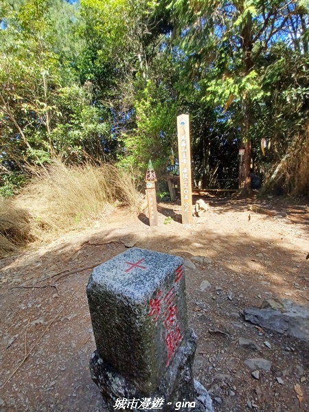 【台中和平】谷關七雄，慢旅台中登山活動認證。  針葉林道踩踏