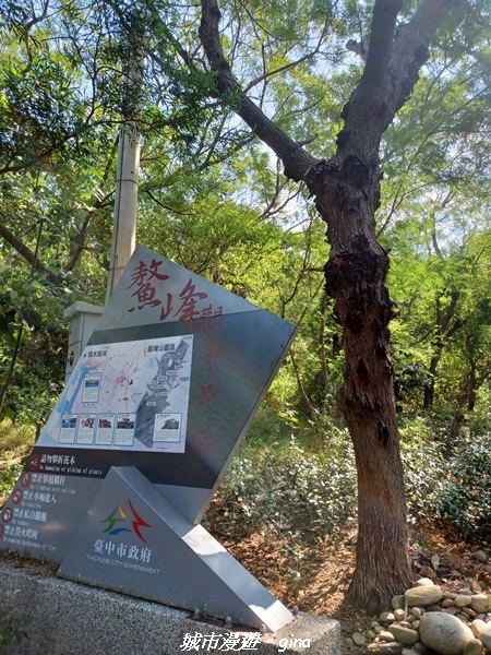 20221105_100809.jpg 20221105_100809.jpg