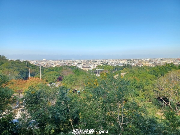 20221105_104108.jpg 20221105_104108.jpg