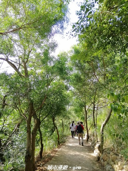 20221105_104112.jpg 20221105_104112.jpg