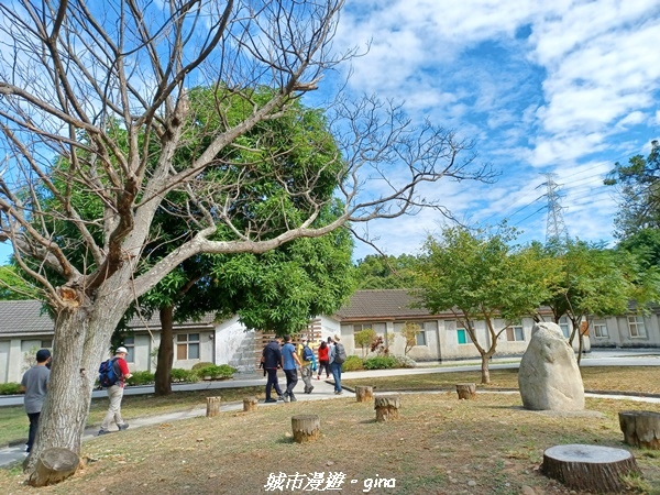 20221105_110314.jpg 20221105_110314.jpg