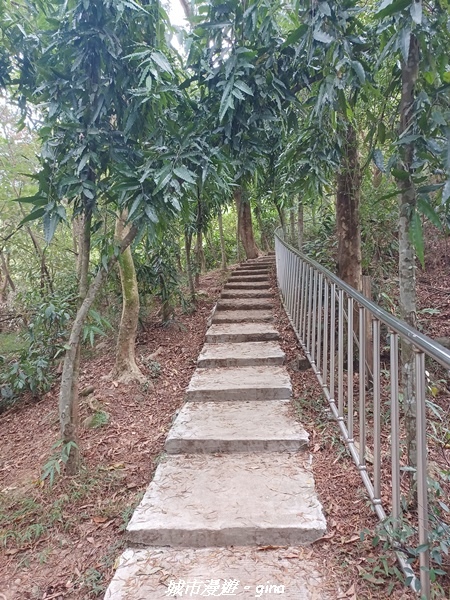 【彰化田中】蓊鬱森林有點陡。 田中森林登山步道