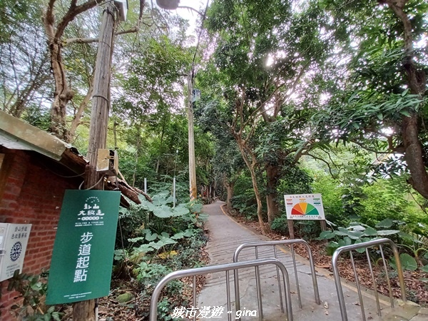 【彰化田中】蓊鬱森林有點陡。 田中森林登山步道