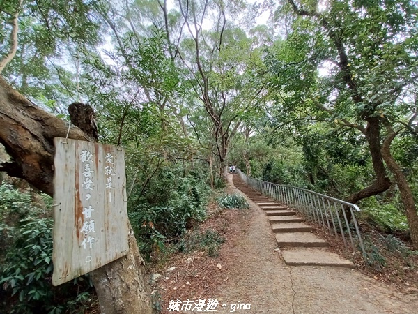 【彰化田中】蓊鬱森林有點陡。 田中森林登山步道