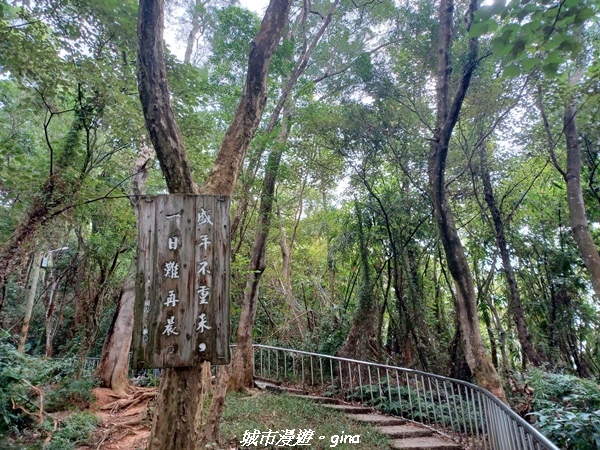 【彰化田中】蓊鬱森林有點陡。 田中森林登山步道