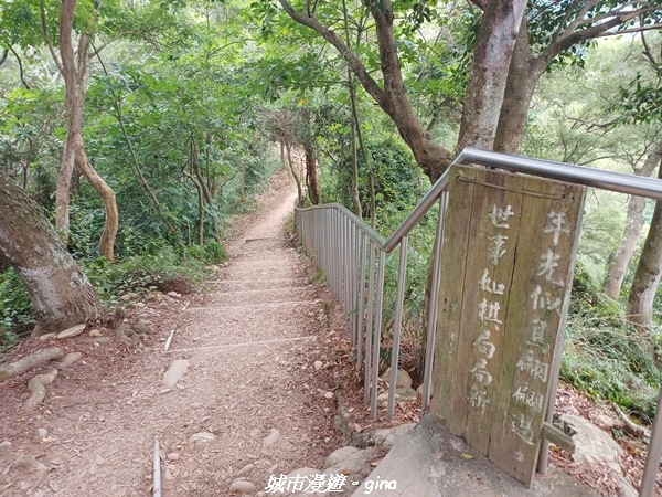 【彰化田中】蓊鬱森林有點陡。 田中森林登山步道