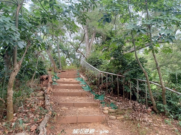 【彰化田中】蓊鬱森林有點陡。 田中森林登山步道