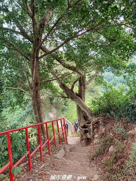 【彰化田中】蓊鬱森林有點陡。 田中森林登山步道