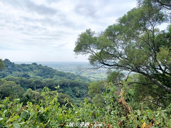 【彰化田中】蓊鬱森林有點陡。 田中森林登山步道