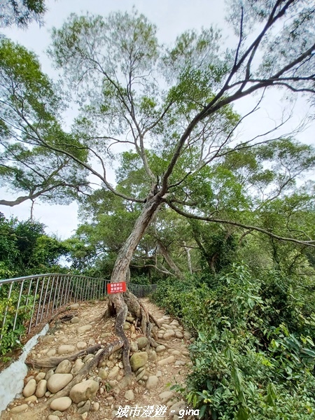 20221106_112113.jpg 20221106_112113.jpg