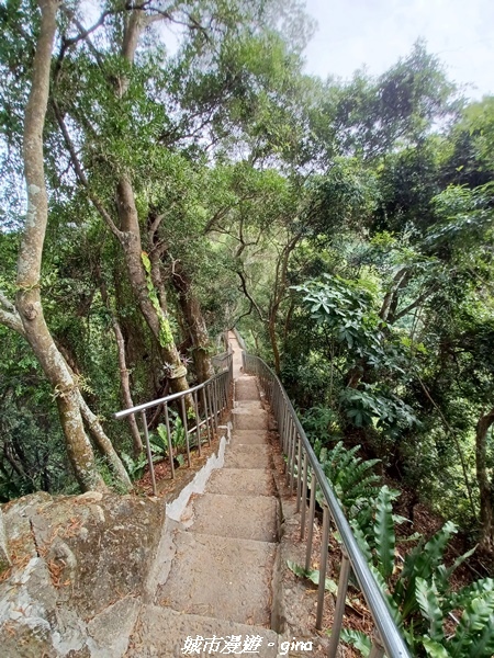 【彰化田中】蓊鬱森林有點陡。 田中森林登山步道