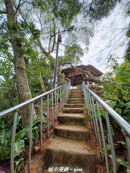 【彰化田中】蓊鬱森林有點陡。 田中森林登山步道