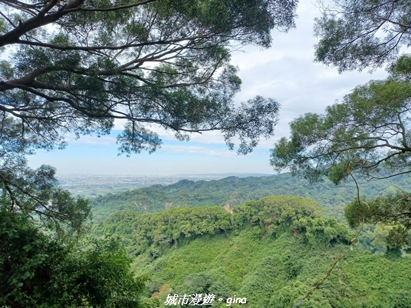 20221106_112622.jpg 20221106_112622.jpg