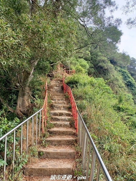 【彰化田中】蓊鬱森林有點陡。 田中森林登山步道