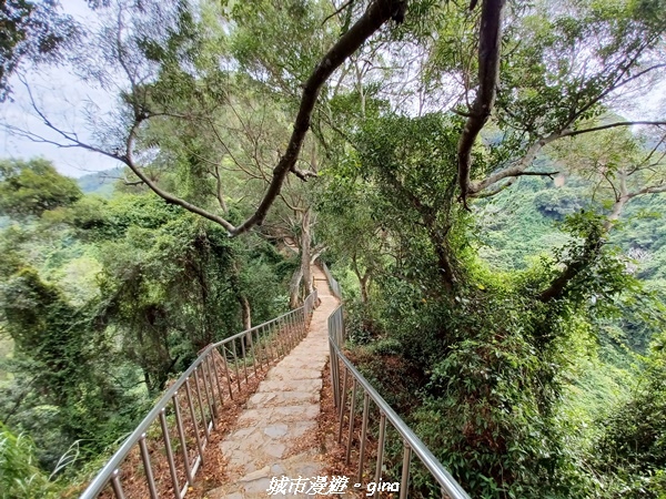 【彰化田中】蓊鬱森林有點陡。 田中森林登山步道