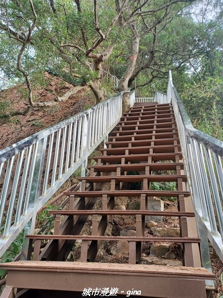 【彰化田中】蓊鬱森林有點陡。 田中森林登山步道