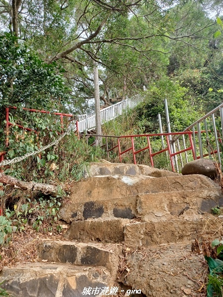 【彰化田中】蓊鬱森林有點陡。 田中森林登山步道