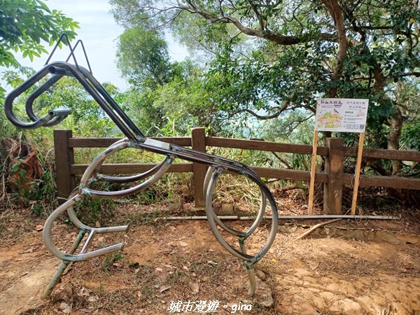 【彰化田中】蓊鬱森林有點陡。 田中森林登山步道