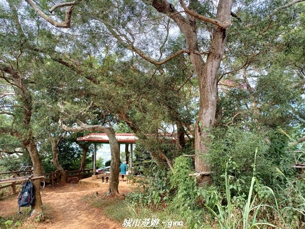 20221106_113835.jpg 20221106_113835.jpg