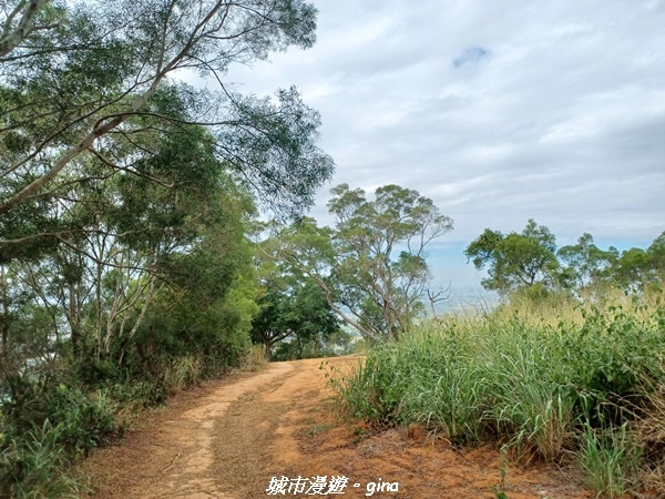 【彰化田中】蓊鬱森林有點陡。 田中森林登山步道