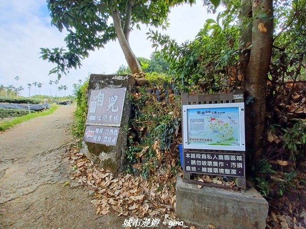 【彰化田中】蓊鬱森林有點陡。 田中森林登山步道