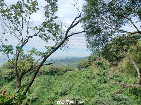 【彰化田中】蓊鬱森林有點陡。 田中森林登山步道