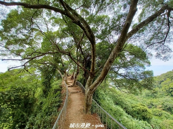 【彰化田中】蓊鬱森林有點陡。 田中森林登山步道