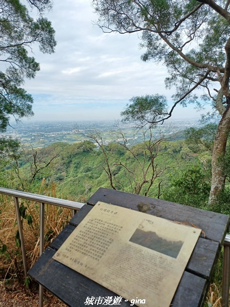 【彰化田中】蓊鬱森林有點陡。 田中森林登山步道