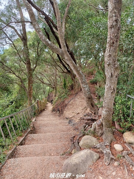 20221106_115627.jpg 20221106_115627.jpg