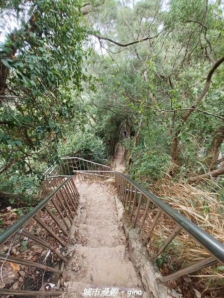 20221106_115104.jpg 20221106_115104.jpg