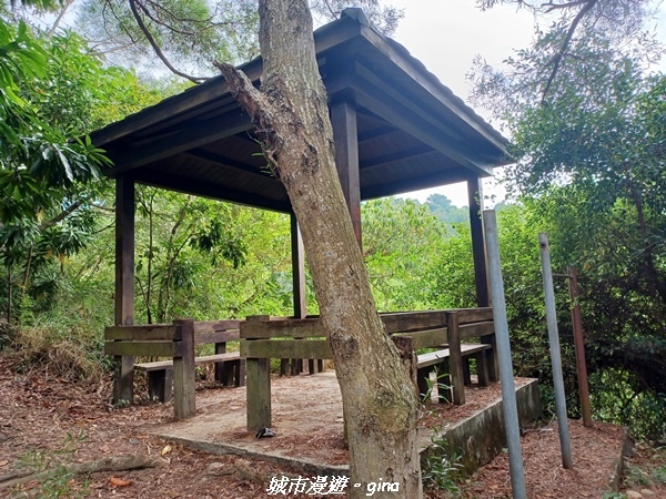 【彰化田中】蓊鬱森林有點陡。 田中森林登山步道