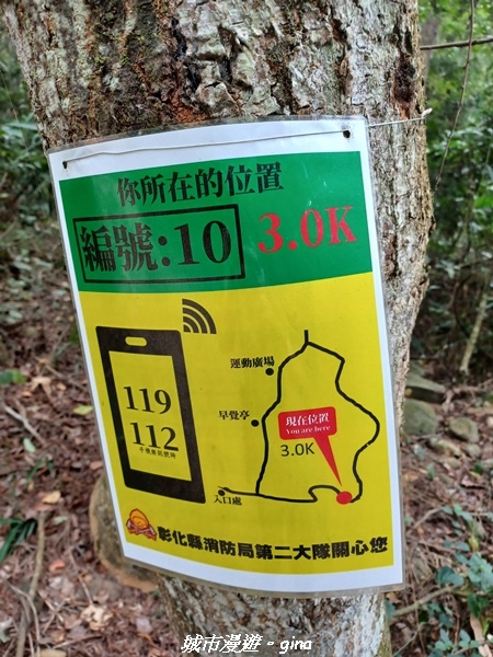 【彰化田中】蓊鬱森林有點陡。 田中森林登山步道