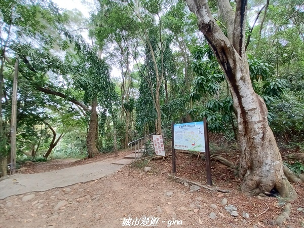 【彰化田中】蓊鬱森林有點陡。 田中森林登山步道