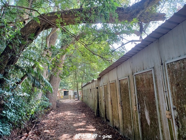 20221110_104527.jpg 20221110_104527.jpg