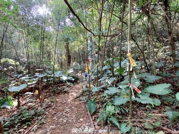 20221110_110428.jpg 20221110_110428.jpg