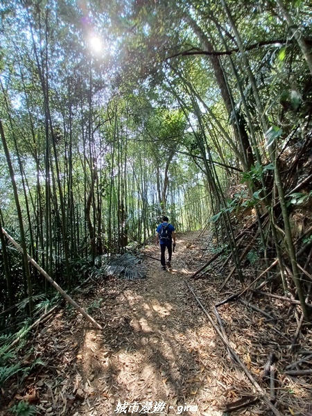 20221110_105538.jpg 20221110_105538.jpg