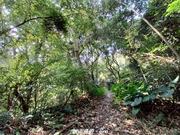 20221110_105756.jpg 20221110_105756.jpg