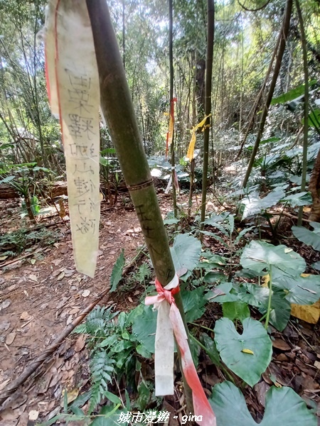 20221110_110411.jpg 20221110_110411.jpg