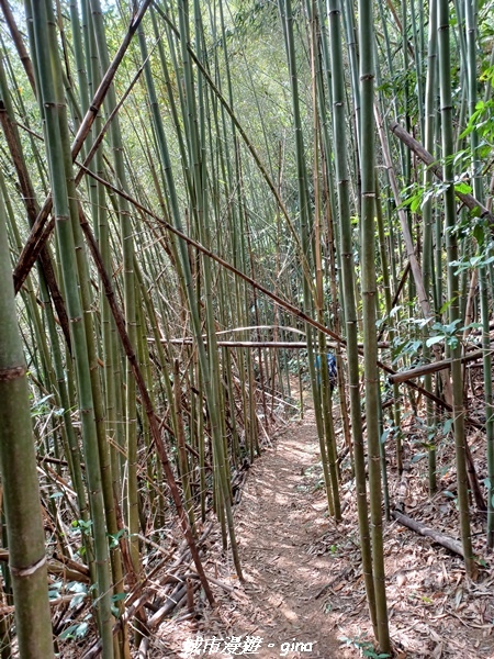 20221110_110811.jpg 20221110_110811.jpg