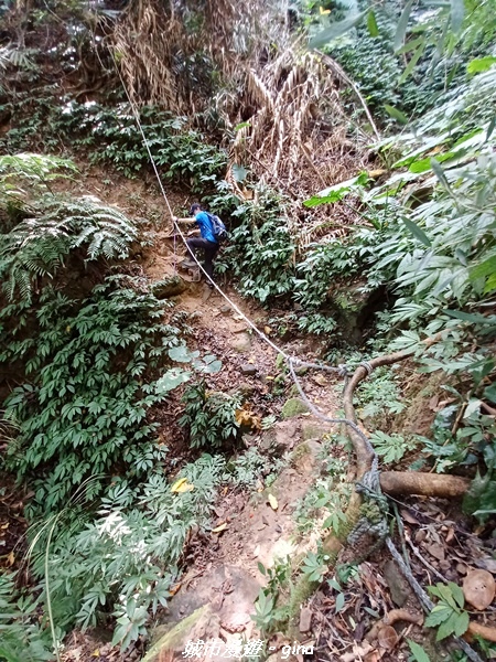 20221110_111159.jpg 20221110_111159.jpg