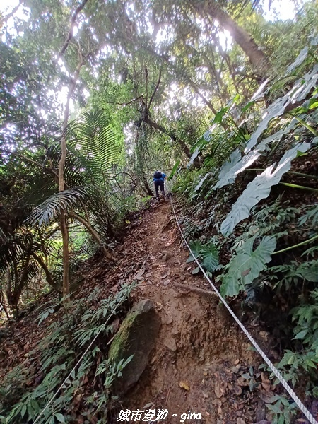 20221110_111046.jpg 20221110_111046.jpg