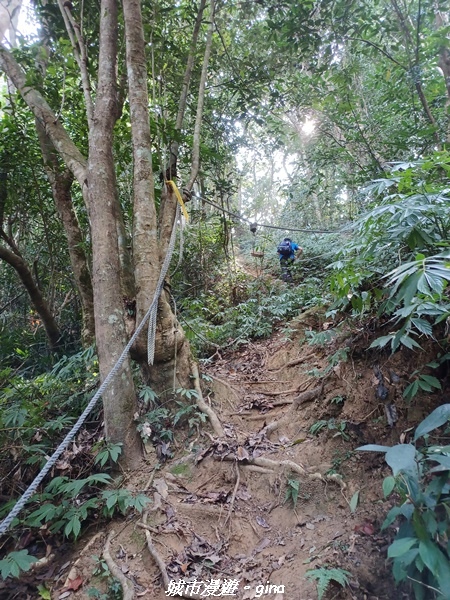 20221110_111839.jpg 20221110_111839.jpg