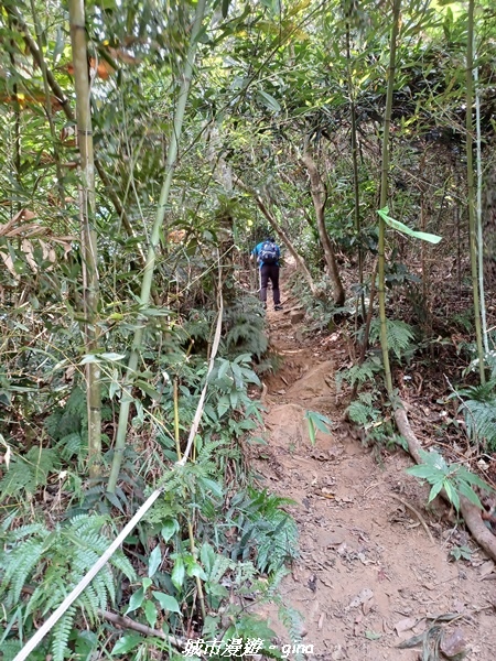 20221110_112521.jpg 20221110_112521.jpg