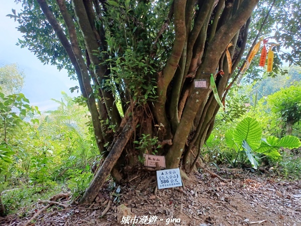 20221110_113439.jpg 20221110_113439.jpg